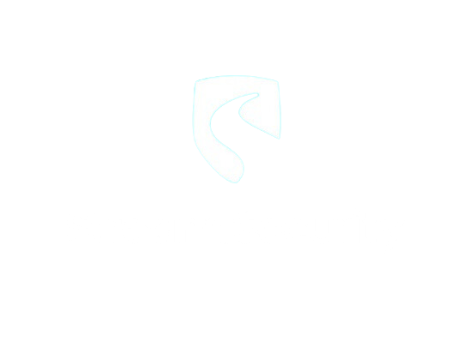https://oh-ffs.com/wp-content/uploads/2024/11/Stream.png